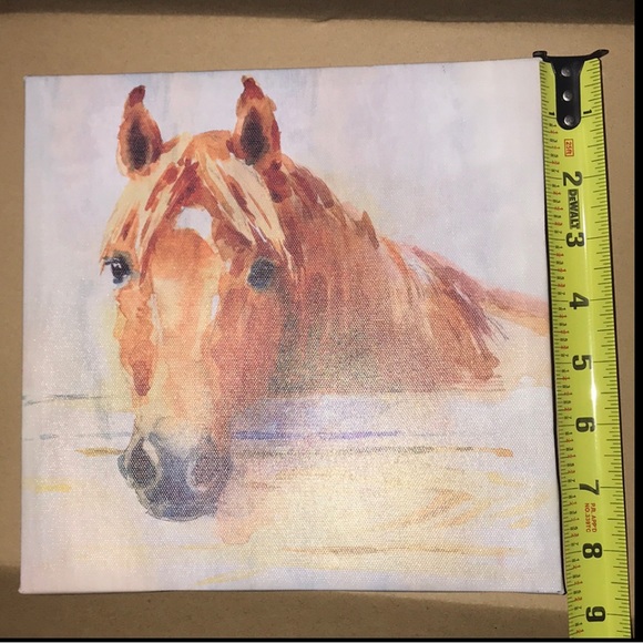 Horse Canvas Art - Picture 2 of 3